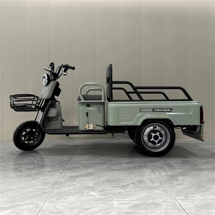 1.1m Elderly Commuting Tricycle best